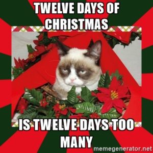 twelve days of christmas 2